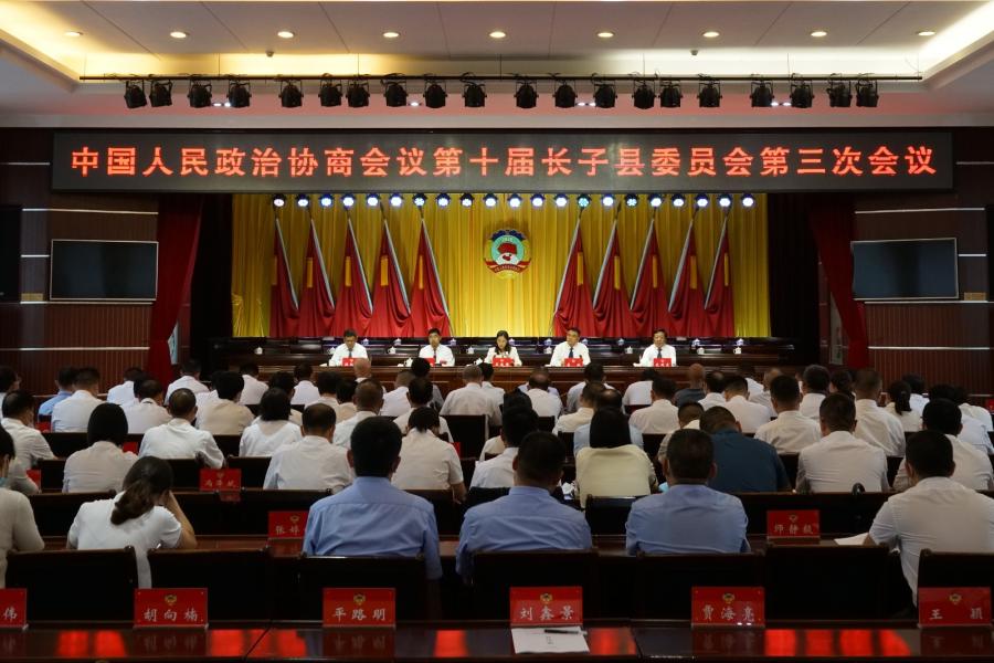 县政协十届三次会议中共党员会议 (4)(1).jpg