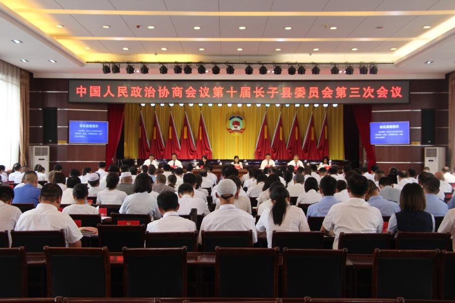 政协举行大会议政发言 (5)(1).jpg