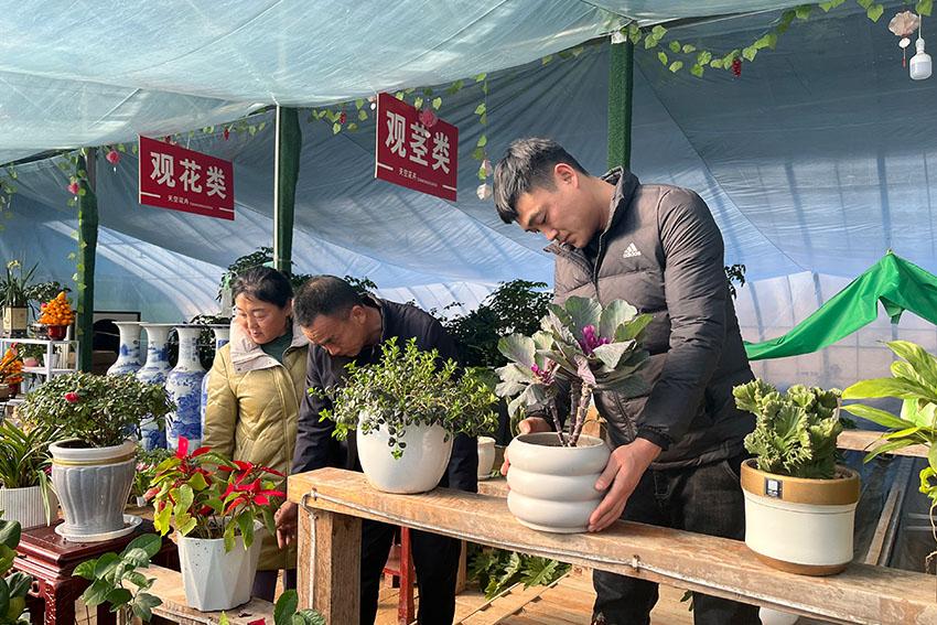 花卉市场人气旺6.jpeg