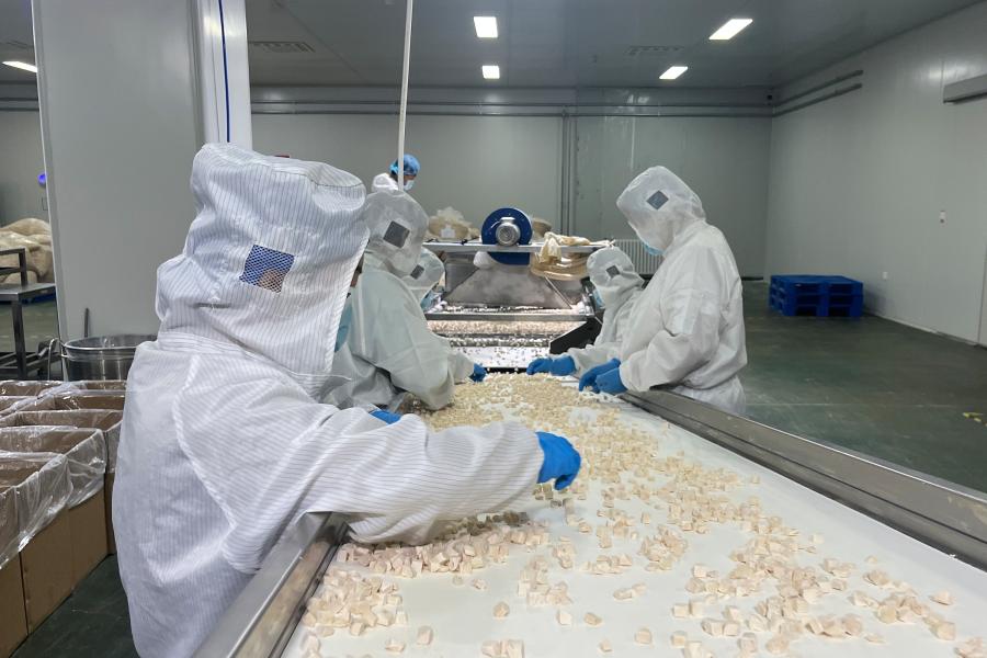 1762156775706513.jpg 山西星萌科技 (1).jpg